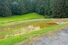 Von einem Kiesweg aus ist das neu angelegte Rückhaltebecken am Waldrand zu sehen, in dem sich bereits Wasser angesammelt hat. 