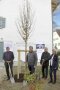 Vier Personen, davon drei Männer und eine Frau, stehen rund um einen frisch gepflanzten Lindenbaum und halten Spaten in der Hand. Im Hintergrund ist das Bürgerhaus Haunersdorf zu sehen.