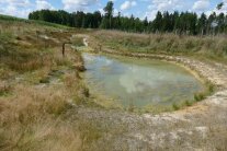 Eine begrünte Retentionsfläche in der bereits ein wenig Wasser gesammelt hat
