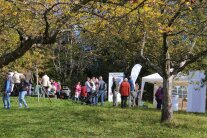 Auf einer herbstlichen Streuobstwiese flanieren zahlreiche Menschen zwischen Pavillons, Rollups und Obstbäumen.