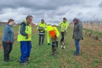 Fünf Personen begutachten die Entnahme einer Bodenprobe auf einer landwirtschaftlichen Fläche am Ortsrand von Neulohe.
