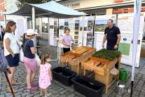 Der Infostand des ALE Niederbayern auf den Regional- und Umwelttagen in Kelheim. Zwei ALE-Mitarbeiter sprechen mit einer Familie, die den Stand inspiziert.
