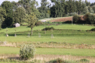 Zahlreiche Anpflanzungen auf einer terrassenstufigen Hanglage neben bestehende Baum- und Heckenbestände nähe Ottering, Lkr. Dingolfing-Landau. Eine Straße windet sich in Serpentinen den Hang hinauf, auf dem eine kleine landwirtschaftliche Hütte und eine Greifvogelstange ihren Platz haben.