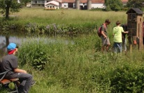  Weiher in naturbelassener Wiese am Dorfrand. Jugendliche besichtigen ein Bienenhotel am rechten Bildrand