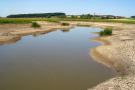 Neu geschaffene Geländevertiefung, in der noch zurückgehaltenes Wasser steht.